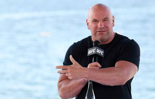White will launch his boxing show next year