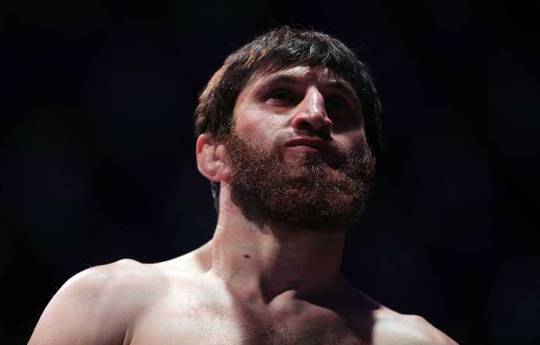 Ankalaev expects to get a title shot if he defeats Walker
