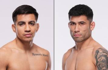 UFC 317 - Wettquoten, Vorhersage: Amil gegen Delgado