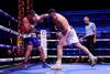 Filip Hrgovic vs. David Allen in Doncaster: Hrgovic setzt mit klarem Stopp ein Ausrufezeichen