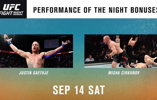 UFC  Fight Night 158: бонусы турнира