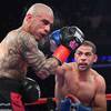 How Cotto said goodbye to boxing (photo) 6