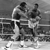 Larry Holmes 6