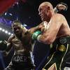 Wilder: 'Fury is the biggest cheater in boxing history, I have proof'