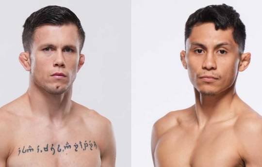 UFC Fight Night 243: Barez vs Altamirano - Datum, Startzeit, Fight Card, Ort