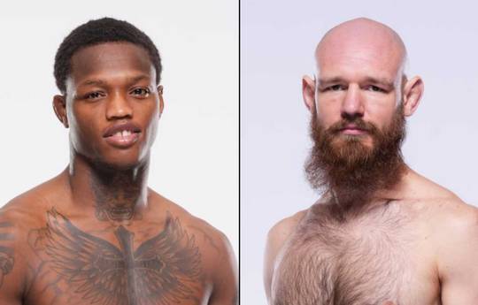 UFC 317 - Wettquoten, Vorhersage: McKinney gegen Borshchev