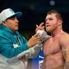 If Golovkin loses, Canelo has a plan B