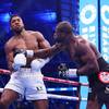 Bashir explained why Joshua turned down a rematch with Dubois