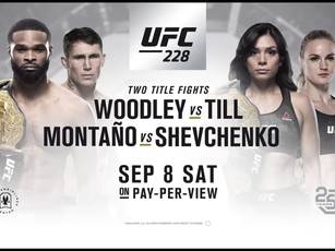 Файткард турнира UFC 228