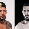 UFC Fight Night - Betting Odds, Prediction: Medina vs Gandra