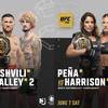 UFC 316: кард турнира