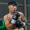 Jose Andres Teran vs Luis Guzman - Date, Start time, Fight Card, Location