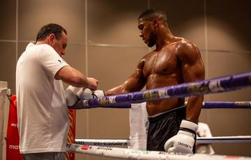 Joshua and Pulev hold an open training session