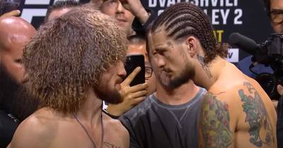 Hoe laat is UFC 316 vanavond? Dvalishvili vs O'Malley - Starttijden, Schema's, Vechtkaart
