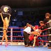 Ring Card Girls 181