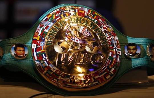 WBC уменьшает количество раундов в боях за региональные титулы до 8