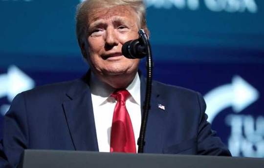 Трамп розкрив терміни підготовки до турніру UFC в Білому домі