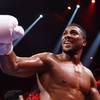 Joshua recusa-se a combater com Wilder?