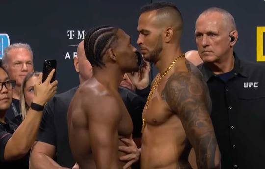 Wann ist heute UFC 323? Abdul-Malik vs Trocoli - Startzeiten, Zeitpläne, Kampfkarte