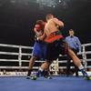 Results and photos of the undercard bouts in Brovary 200