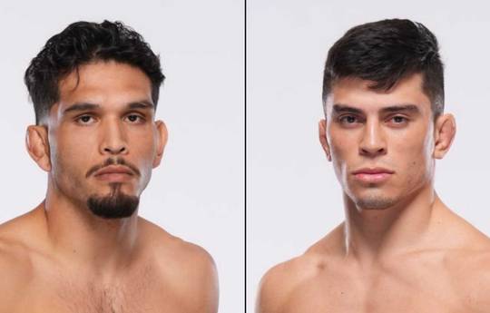 UFC on ESPN 71 - Betting Odds, Prediction: Vallejos vs Silva