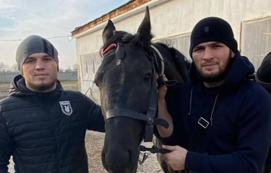 В UFC перешел еще один Нурмагомедов