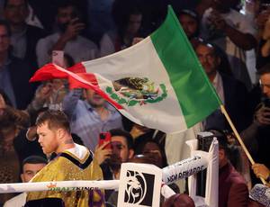 Potential candidates for meeting with Canelo named