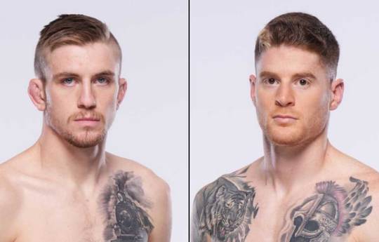 UFC Fight Night 260 - Wettquoten, Vorhersage: Nolan gegen Campbell
