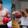 Gilberto Ramirez vs Yuniel Dorticos - Betting Odds, Prediction