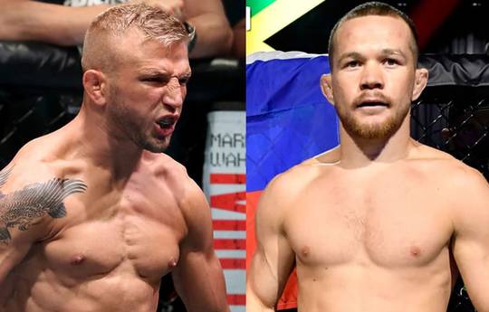 Dillashaw says he doesn't think Yan is the champion