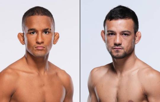 UFC Fight Night 261 - Wettquoten, Vorhersage: Rocha gegen Nicoll
