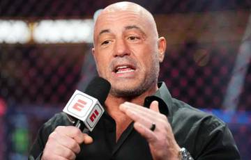 Rogan calls for rule changes in MMA