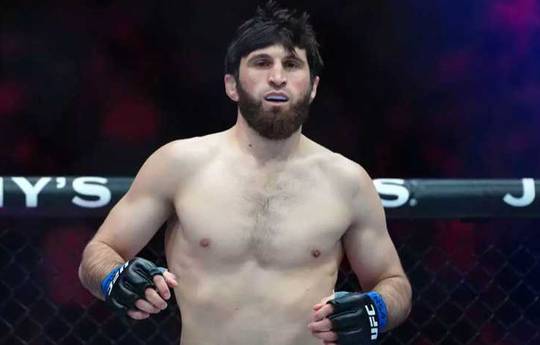 Ankalaev gave a prediction for a rematch with Pereira