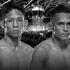 UFC Fight Night 256: Sung Park vs Hernandez - Date, Start time, Fight Card, Location