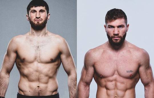Анкалаев - Куцелаба, Спивак - Тыбура: кард UFC Fight Night 169 пополнился новыми боями