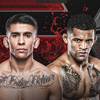 UFC 316 - Betting Odds, Prediction: Bautista vs Mix