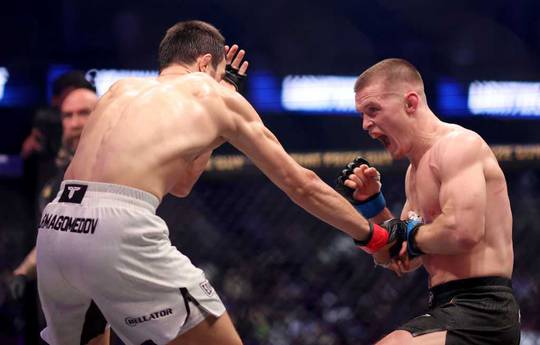 McGregor reacted sharply to the outcome of the fight Nurmagomedov - Hughes