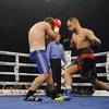 Results and photos of the undercard bouts in Brovary 189