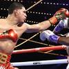 Berlanga and Zayas win on points