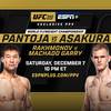 UFC 310: Pantoja finishes Asakura and other tournament results