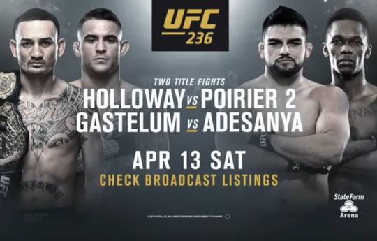 UFC 236: Холлоуэй – Порье 2, Гастелум – Адесанья. Прямая трансляция, где смотреть онлайн