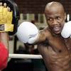 Zab Judah 8