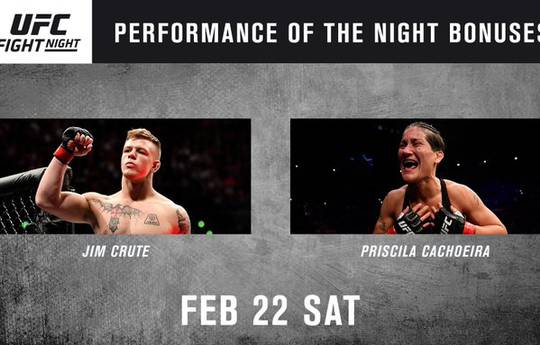 UFC Fight Night 168: бонусы турнира