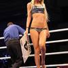 Ring Card Girls 208