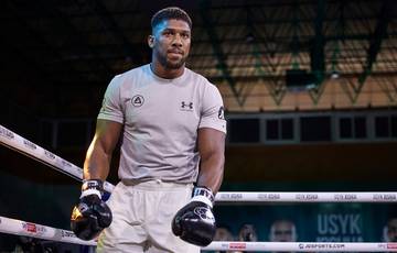 Hrgovic: Joshua was a tough fighter, but now he's too cautious