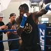 Wilder held an open training session 6