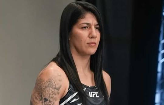 UFC Fight Night 263 - Wettquoten, Vorhersage: Vieira gegen Dumont