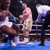 Photos of Joshua vs Ruiz 44