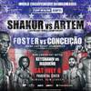 Boxe. Stevenson - Arutyunyan : regarder en ligne, liens de streaming