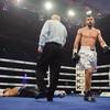 Results and photos of the undercard bouts in Brovary 42